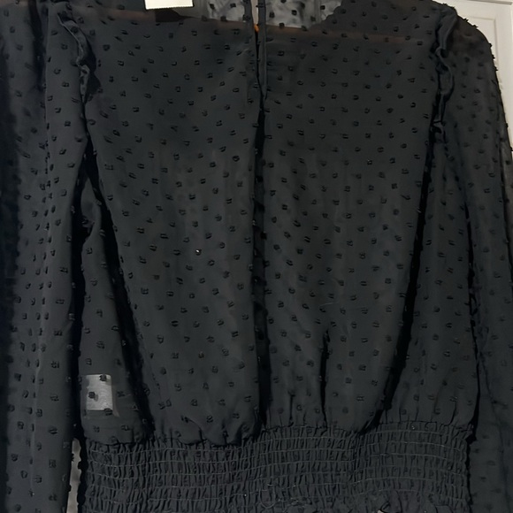 Sheer Crop Long Sleeve Top - Picture 5 of 5